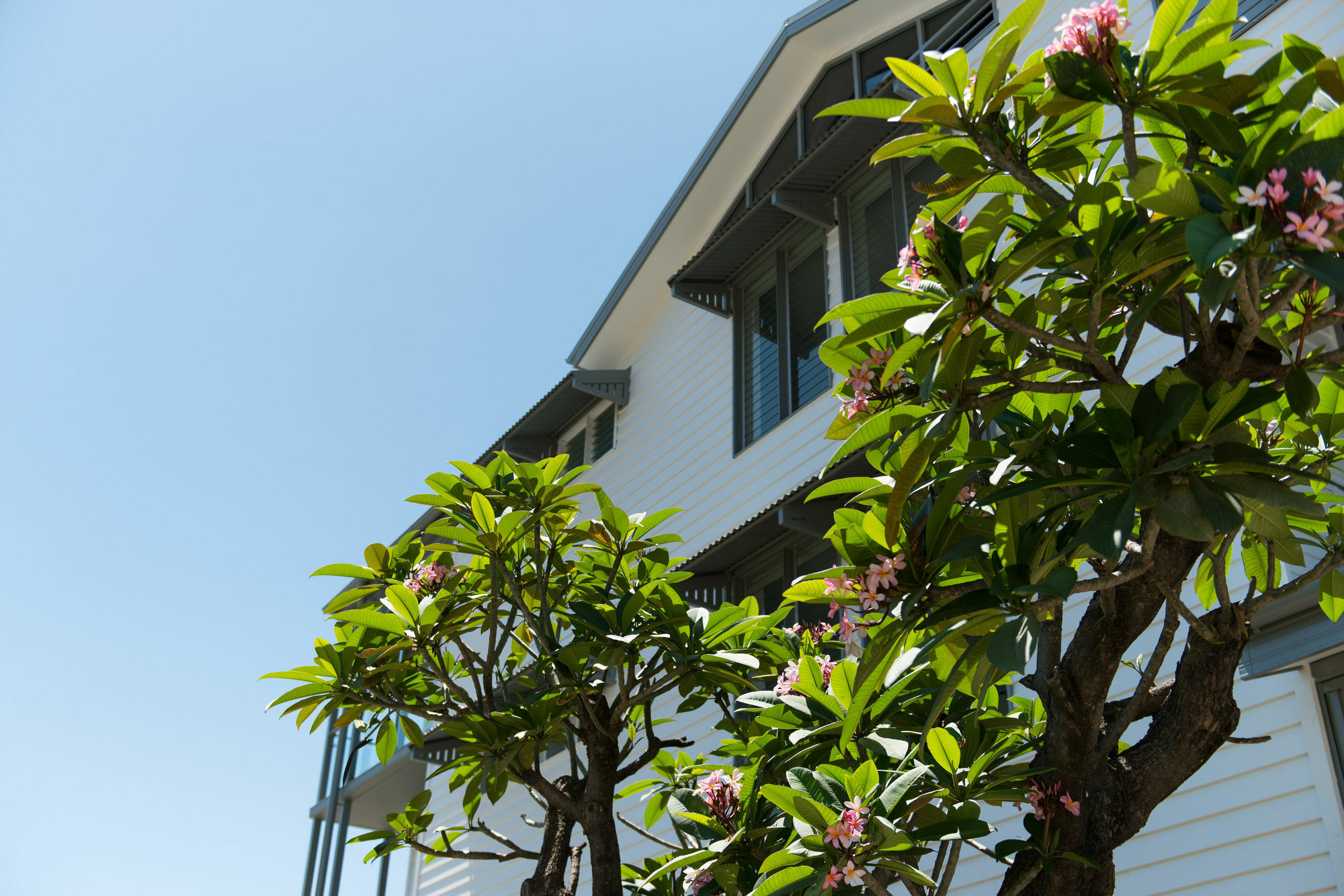 Heart Hotel And Gallery Whitsundays Airlie Beach Zewnętrze zdjęcie